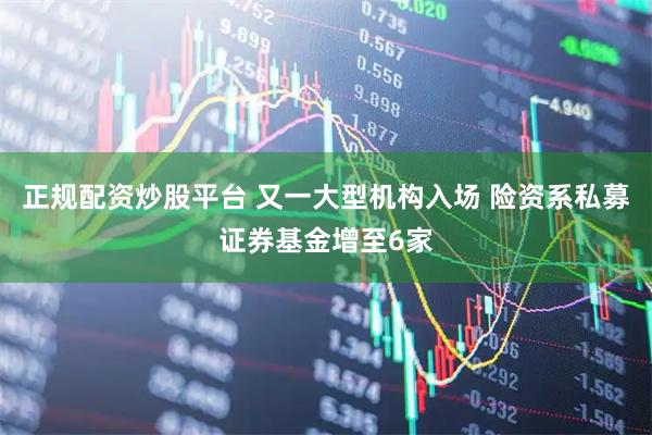 正规配资炒股平台 又一大型机构入场 险资系私募证券基金增至6家