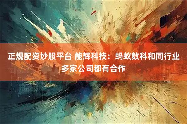 正规配资炒股平台 能辉科技：蚂蚁数科和同行业多家公司都有合作
