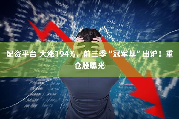 配资平台 大涨194%，前三季“冠军基”出炉！重仓股曝光