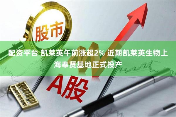 配资平台 凯莱英午前涨超2% 近期凯莱英生物上海奉贤基地正式投产