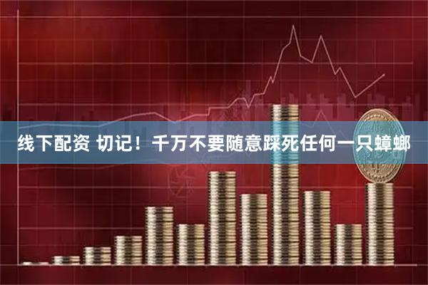 线下配资 切记！千万不要随意踩死任何一只蟑螂