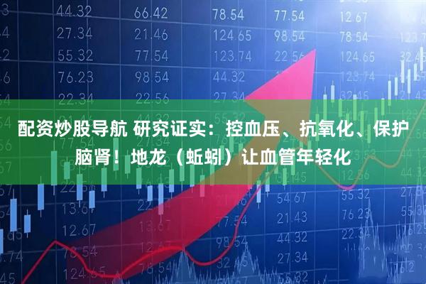 配资炒股导航 研究证实：控血压、抗氧化、保护脑肾！地龙（蚯蚓）让血管年轻化