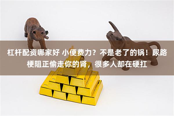 杠杆配资哪家好 小便费力?不是老了的锅!尿路梗阻正偷走你的肾,很多人却在硬扛